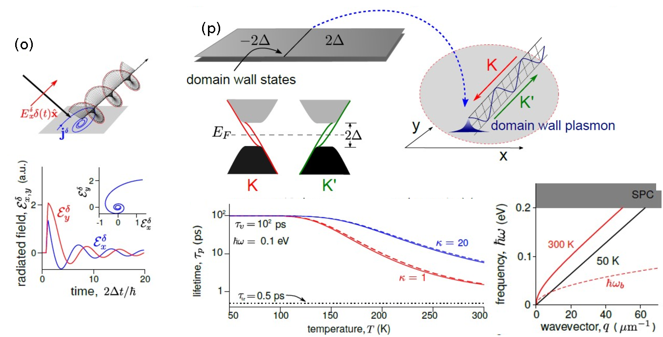 Optoelectronics of Quantum Materials